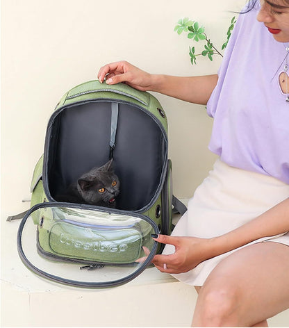 Green cat bubble backpack carrier open top with kitten inside and zipper closure